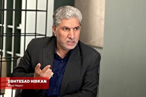 حاکمیت باید فقط نظارت کند/ راه نجات کشور خروج از قیمت گذاری دستوری است