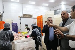 بررسی مشکلات یکی از بزرگترین زنجیره های تولید مرغ گلستان/ مهلت یک هفته ای برای رفع موانع