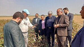 استفاده از ظرفیت های قانون برای کمک به توسعه کشاورزی حفاظتی  در استان