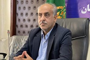 خرید دانه‌های روغنی در سال جاری با اولویت بخش خصوصی آغاز شد