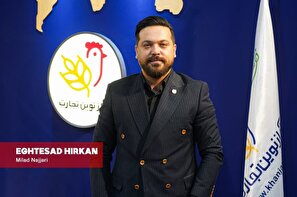صنعت طیور عملا مونتاژ کار است/ امکان صادرات مرغ را داریم اما مجوز نداریم