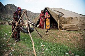 ۶۵ درصد عشایر گلستان در مراوه تپه مستقر هستند